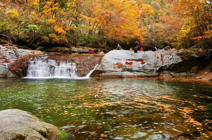 "光雾山|最佳旅游季节是秋季_光雾山旅游景区"的评论图片