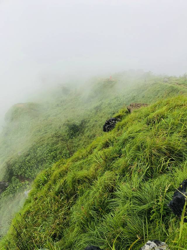 指天山国家公园