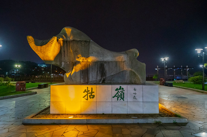 夜游牯岭镇：图片