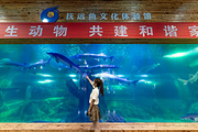同江旅游景点攻略图片