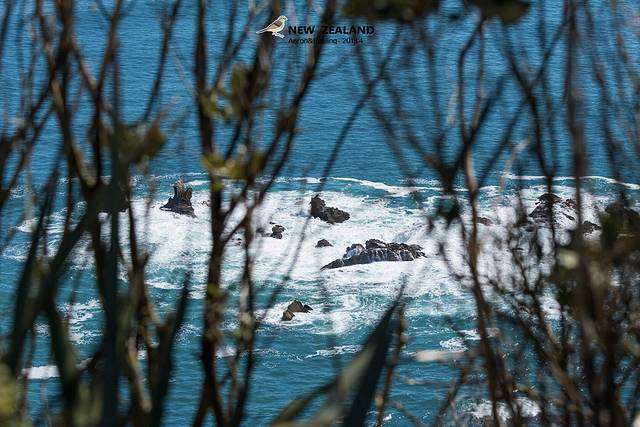 普卡基湖游客中心