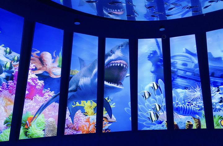 "上海海昌海洋公园的海底世界馆位于火山鲸鲨馆和沙塔餐厅之间_海底世界馆"的评论图片