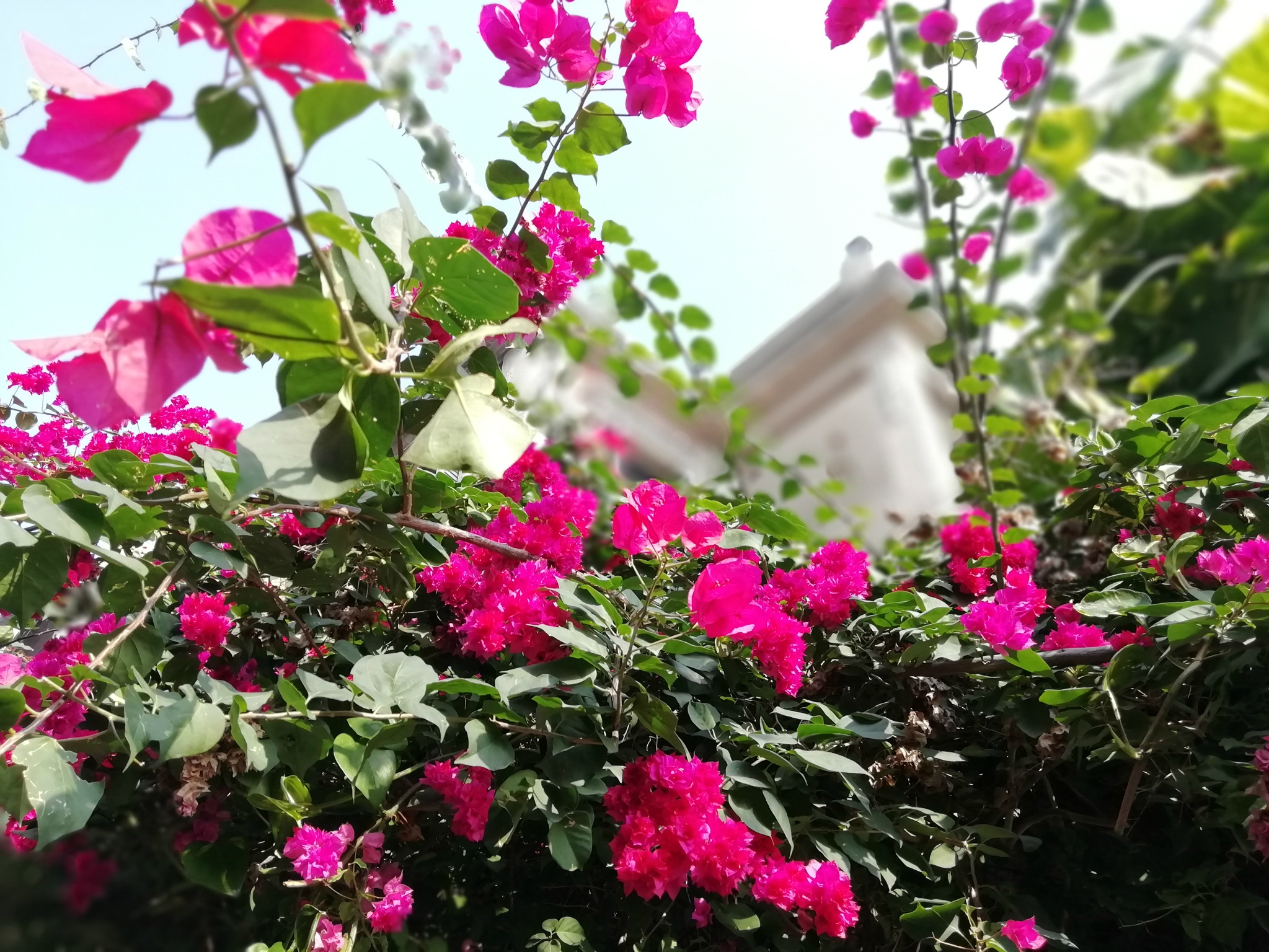 冬天，来厦门过夏天