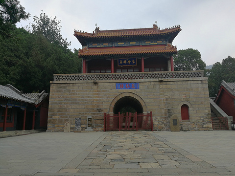 2021红门-旅游攻略-门票-地址-问答-游记点评,泰山旅游旅游景点推荐-去哪儿攻略