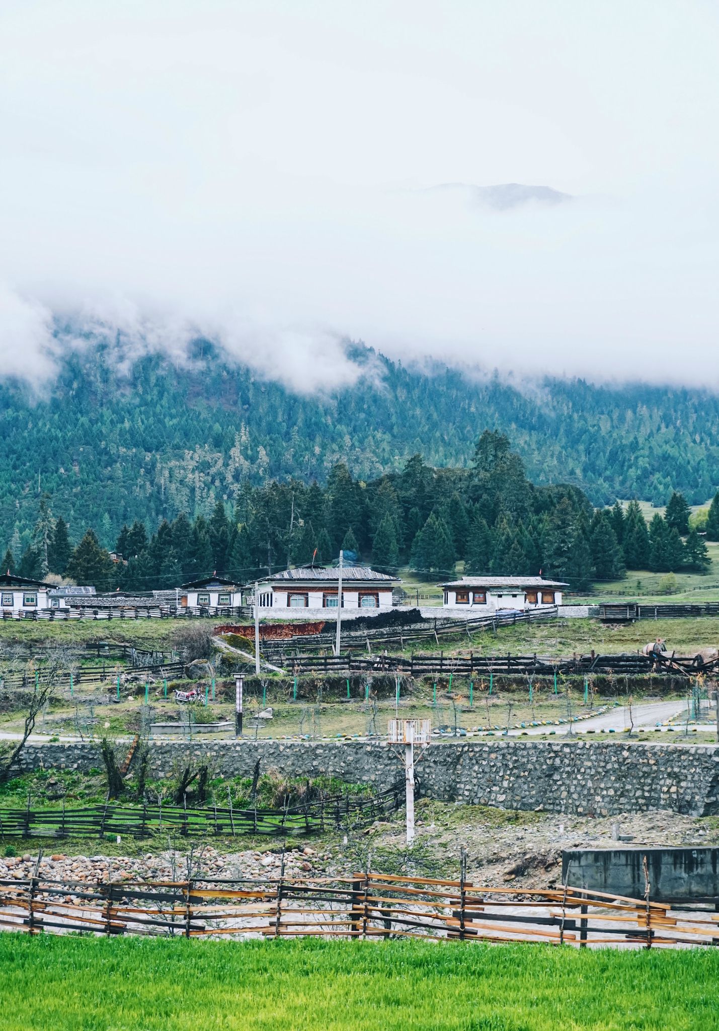 我们再去鲁朗这个人间仙境住上一晚好好享受这个神仙住的地方吧下次来