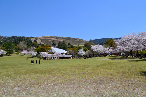 奈良公园旅游景点攻略图
