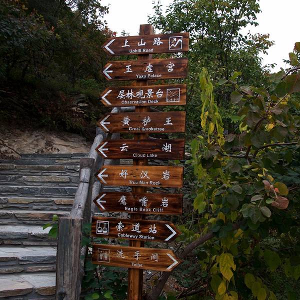 b102125fe3545b375da1666bd46b60df.jpg_600x600x70_1586676a.jpg