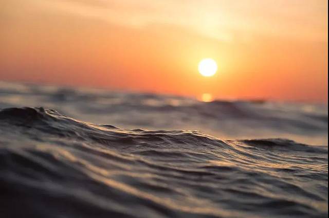 上了艇好游艇餐厅(半山半岛店)