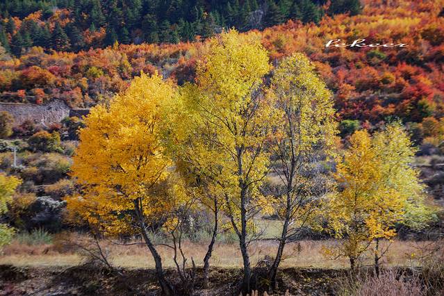 腊子口战役纪念馆