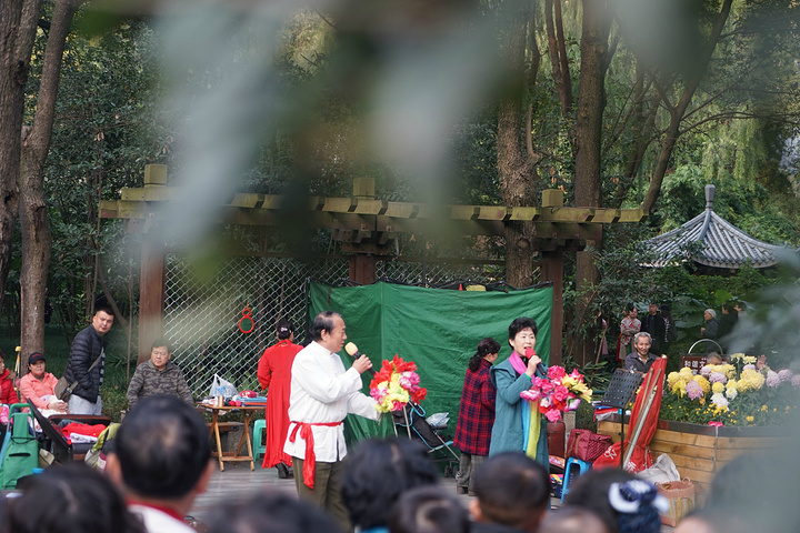 "下飞机直奔人民公园，泡一壶清茶，看看人生百态_成都市人民公园"的评论图片