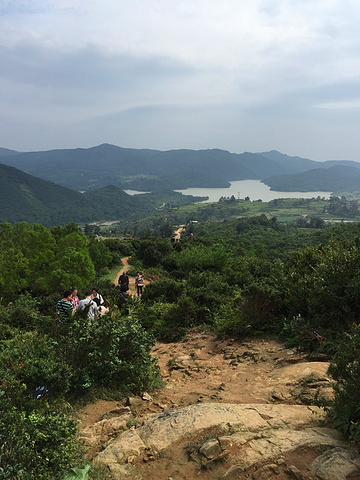 "_大姆山草场"的评论图片