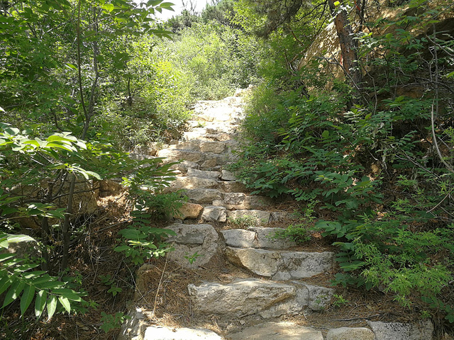 "【小提示】碣石山不高但非常险峻，夏日登山建议带2瓶水，山上多为岩石少高大树木，注意防晒_碣石山景区"的评论图片