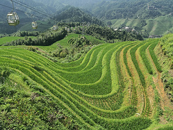 龙胜梯田