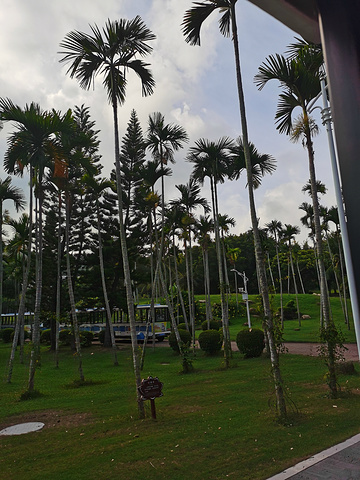 南山下的寺庙有很多都可以进去参观的只是我们就没去了路过休息一下等