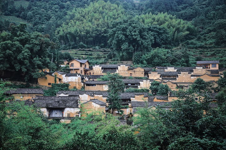 "因村中有三棵交叉的 樟树 ，所以最早叫樟交堂，后改名为杨家堂_杨家堂村"的评论图片