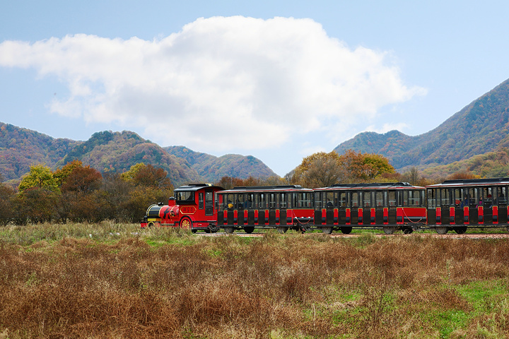 "游玩大九湖建议住宿在坪阡古镇，离游客中心很近，自驾车辆停在游客中心外面的停车场即可，预约免费门..._大九湖国家湿地公园"的评论图片