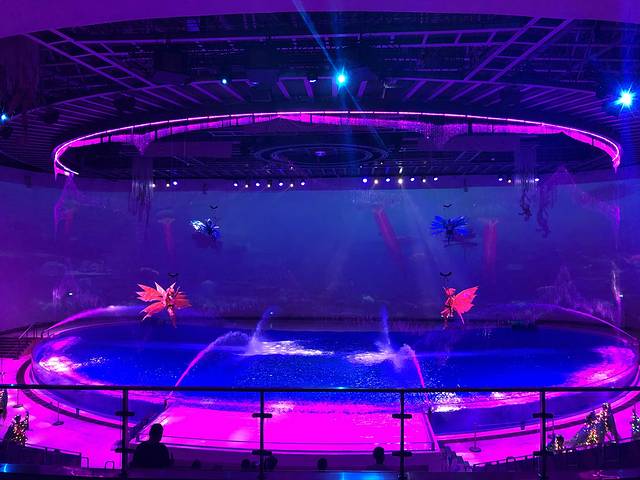 《海豚奇缘》演出