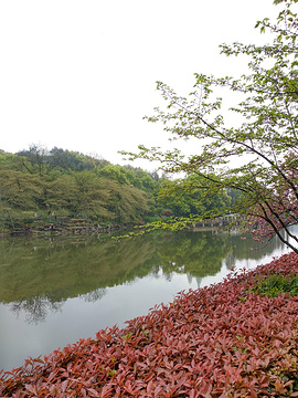 湖南省植物园旅游景点攻略图