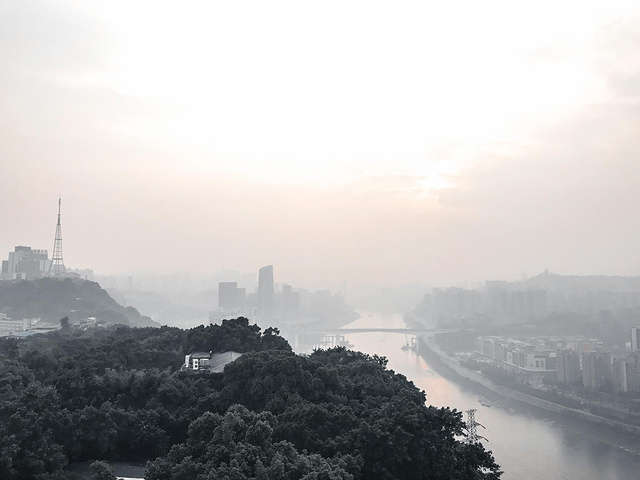 "在上面可以很好的观赏重庆市区的风景，是俯瞰重庆全景的最佳平台之一，而且人真的很少，不像南山一棵..._鹅岭公园"的评论图片