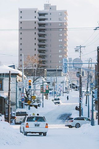 "小樽 是 北海道 浪漫的小城市 建议冬天去_小樽运河"的评论图片