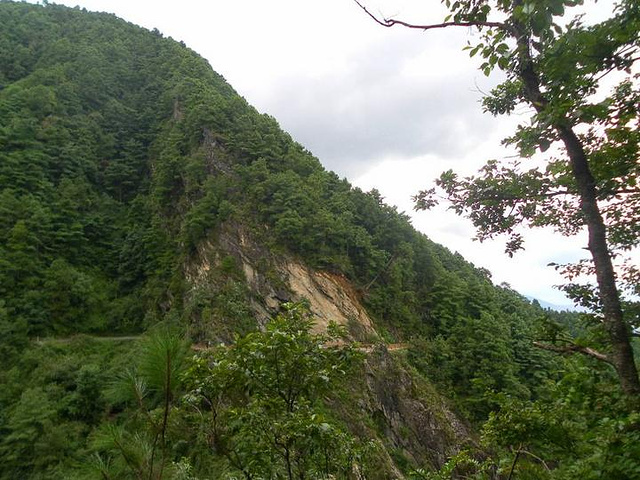 "一般游览苍山，可选择从中和索道或感通索道上到半山腰，沿玉带云游路步行欣赏沿途美景，到七龙女池中..._苍山"的评论图片