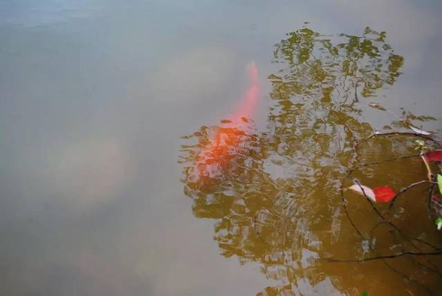 玛歌庄园火锅(五龙山店)