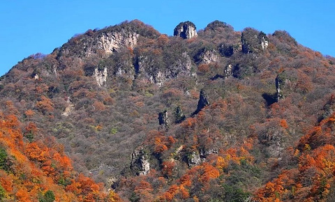 光雾山旅游景区旅游景点攻略图