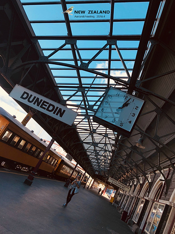 "_但尼丁火车站"的评论图片