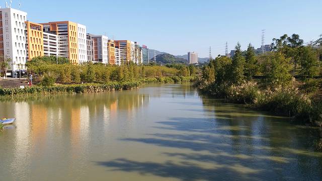 天河大观湿地公园