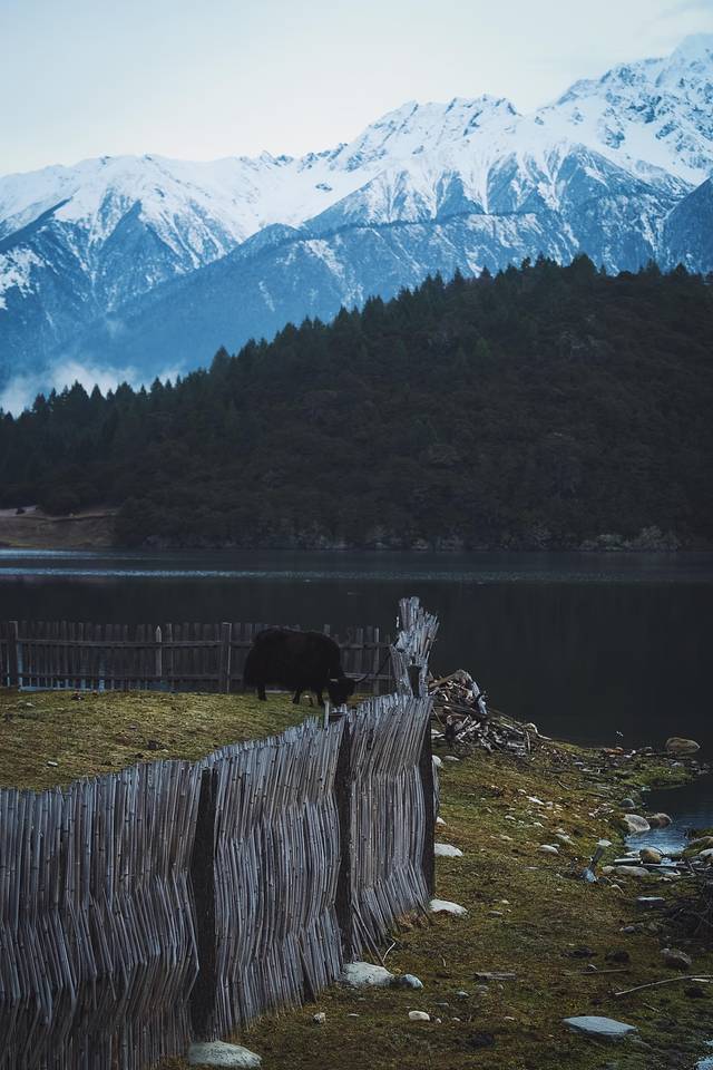 鲁朗国际旅游小镇