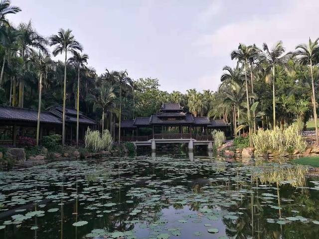 南宁青秀山公园