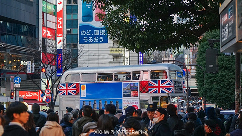 涩谷旅游景点攻略图