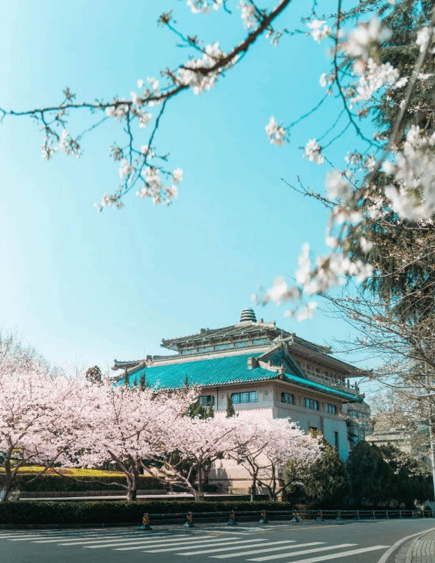 预约渠道及游玩路线推荐2021武大樱花什么时候开其中3月1314日两天为