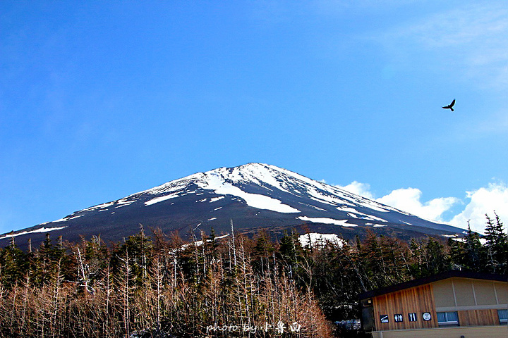 "富士山的云海也是十分有名，五合目是来往游客聚集人数最多的旅游景点，目前几乎已经成为了游览富士山..._富士山五合目"的评论图片