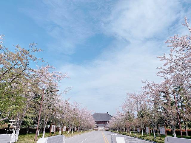 扬州大运河文化旅游度假区·鉴真图书馆