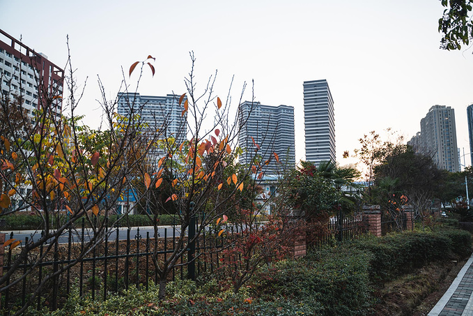 从南京交通职业技术学院出来走到南京交院地铁站南京旅游攻略游记去哪儿攻略