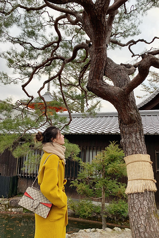 "清水寺是京都最古老的寺庙，整个寺庙色彩鲜艳适合拍照。但当时气温在零度左右，和服又比较薄我就没去体验_清水寺"的评论图片