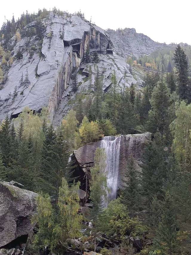 可可托海白桦林