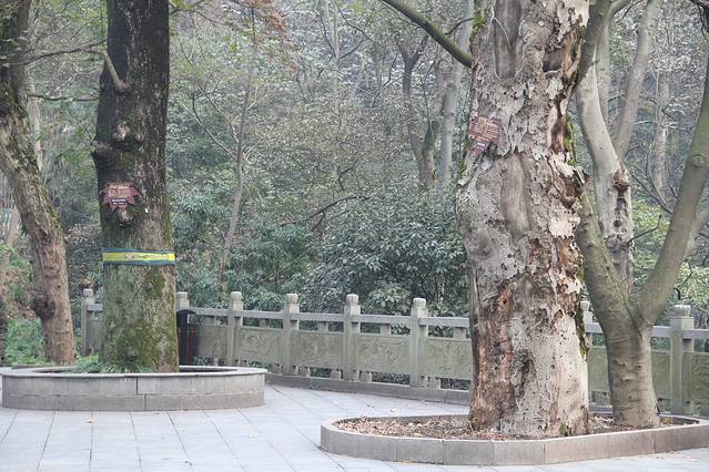 古麓山寺