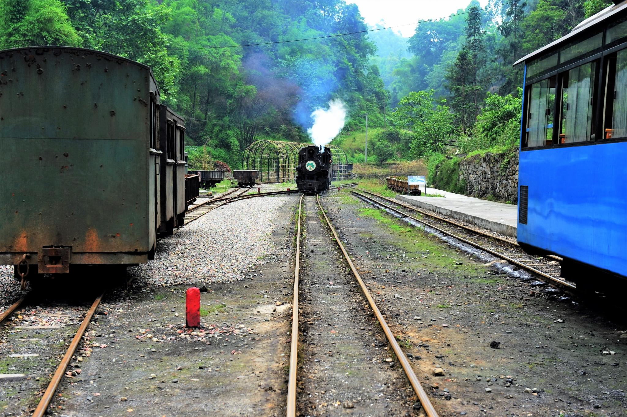 行驶在斯里兰卡高山茶园的火车高清图片下载-正版图片500670840-摄图网
