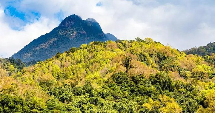 "五指山主体面积211平方公里，是海南第一高山，海南岛的象征，被国际旅游组织列为旅游点。图片来自网络_五指山"的评论图片