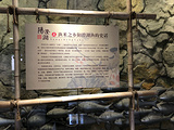 忆园