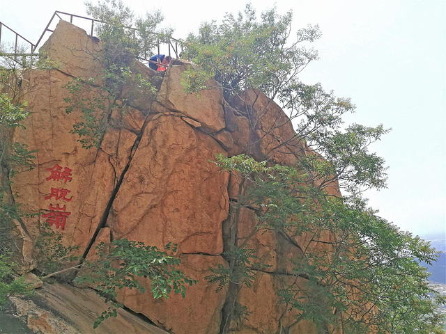 "【小提示】碣石山不高但非常险峻，夏日登山建议带2瓶水，山上多为岩石少高大树木，注意防晒_碣石山景区"的评论图片