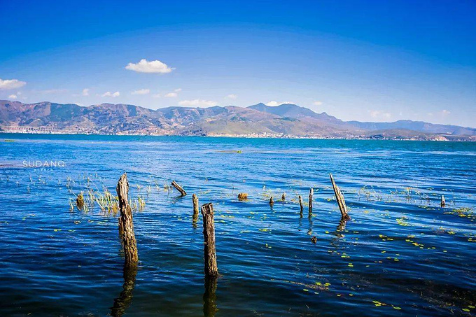 从空中往下看,洱海宛如一轮新月,静静地依卧在苍山和大理坝子之间.