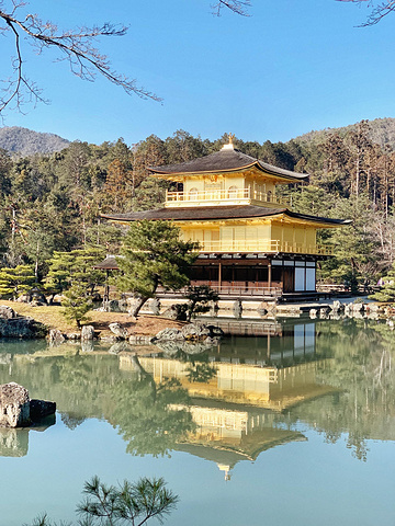 "买票进去后须顺着一个方向游玩，出入口不同_金阁寺"的评论图片