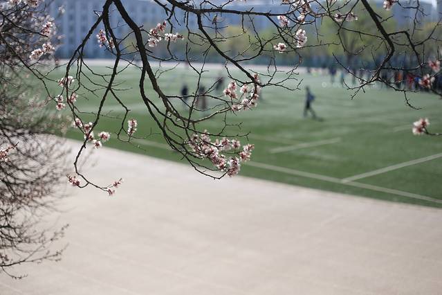 哈尔滨工程大学