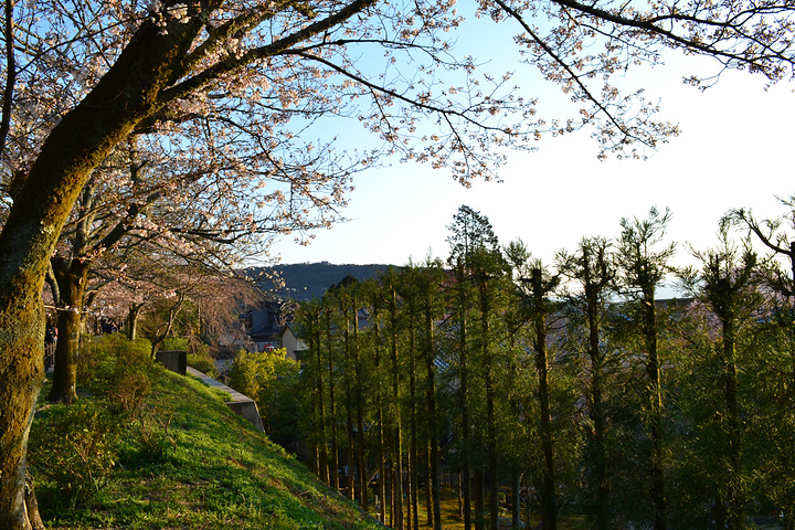 "银阁寺本名慈照寺，与金阁寺一样，同为临济宗相国寺派寺院，也是室町时代所建。银阁寺门票_银阁寺"的评论图片