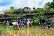 保山旅游景点攻略图片