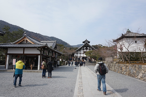 天龙寺旅游景点攻略图