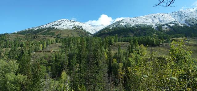 喀纳斯湖风景区